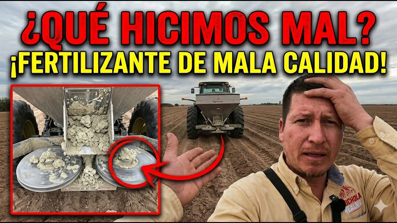 problemas en la fertilizancion de trigo