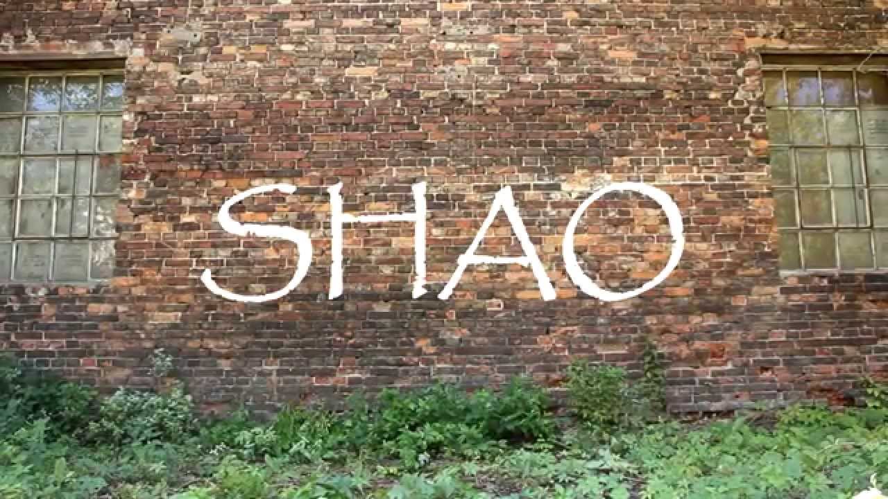 Shao - Optical illusion of  magnetic batons manipulation
