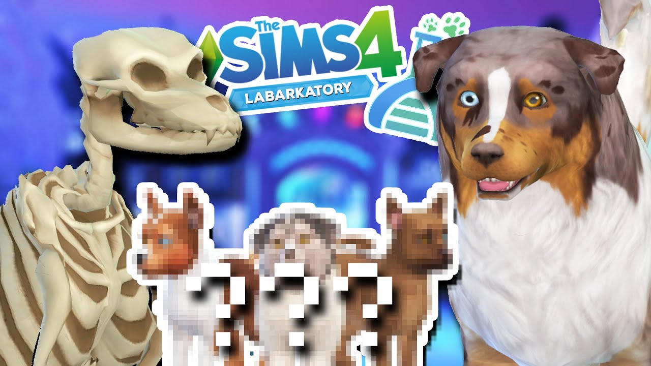 Таинственная собака-скелет x щенки австралийской овчарки?! 💀💕🐶