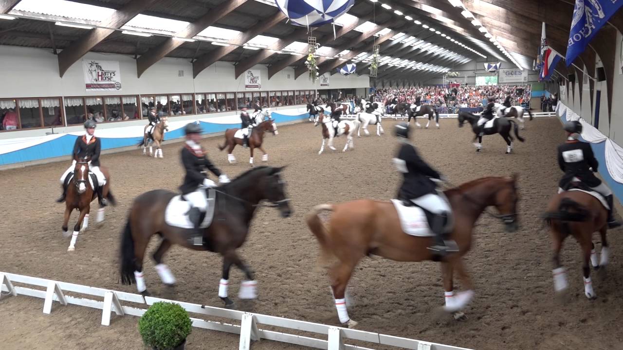 NK carrousel 2016 - Capelse Manege Paarden Carrousel