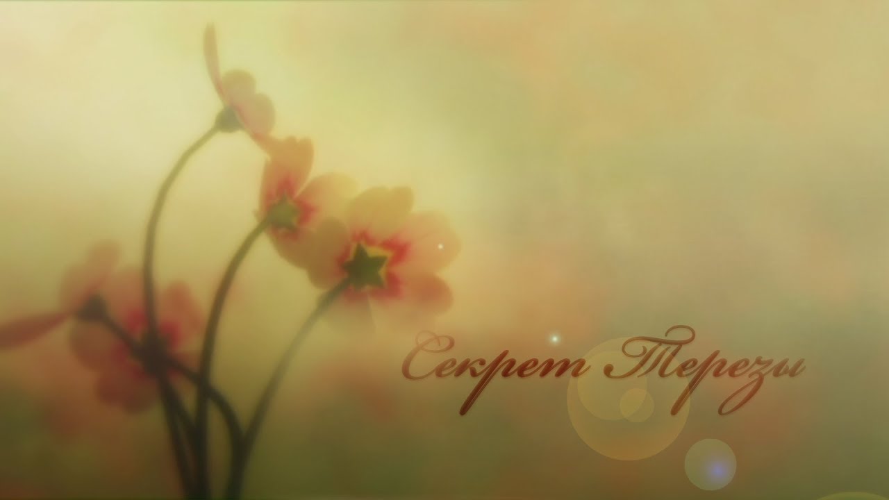 Секрет Терезы
