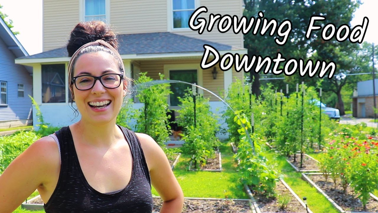 Urban Homesteading - Grow an Abundance of Food on 1/5th Acre