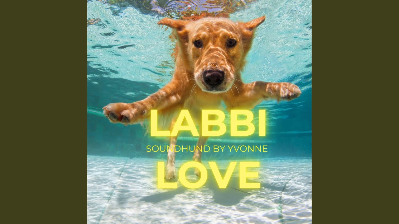 Labbi Love