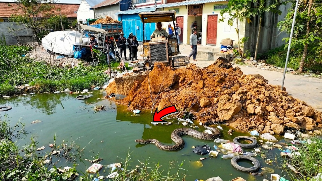 First Opening Completed Project! Delete Flooded Garbage Pond by Skill Dozer Pushing RockSoil & Truck