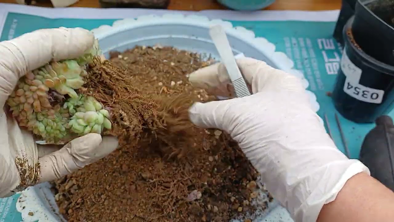 놀이터 에서 중얼중얼 쫑알쫑알 즐저 하시고 굿밤되세요 사랑합니다 💜 