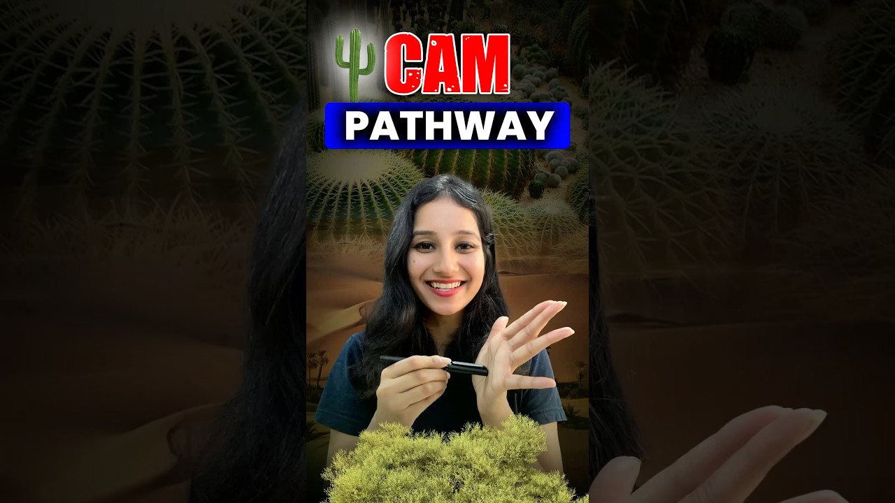 CAM Pathway #xerophyticplant