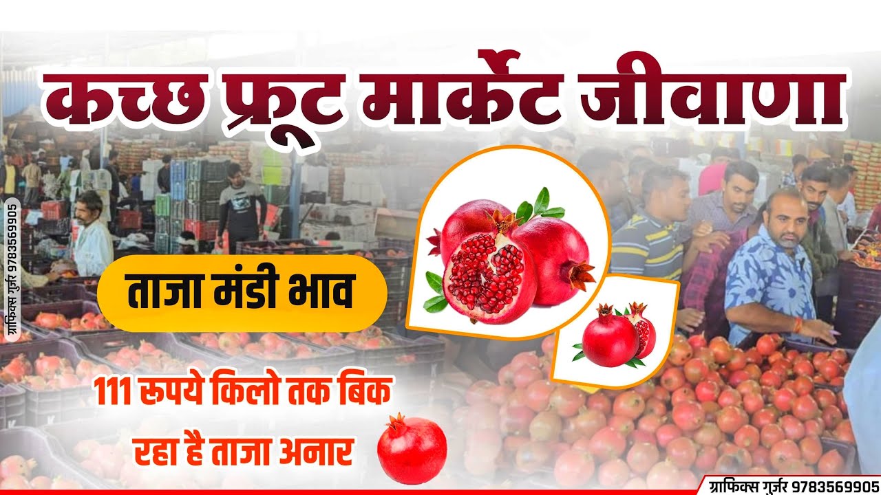 जीवाणा  कच्छ फ्रूट मार्केट मंडी मे अनार के ताजा भाव अपडेट,@Thartechnicalfarming