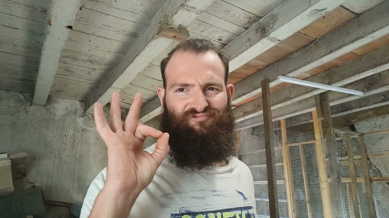 Le dernier point incubation !! 100% de réussite ?!