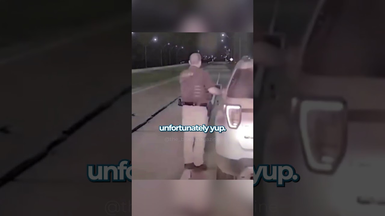 Cop Has Unexpected Encounter During Traffic Stop