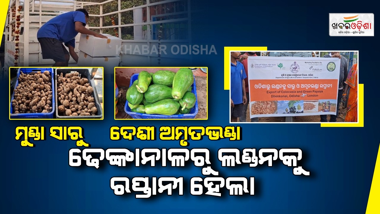 ଢେଙ୍କାନାଳରୁ ଲଣ୍ଡନକୁ ରପ୍ତାନୀ ହେଲା ମୁଣ୍ଡା ସାରୁ ସାଙ୍ଗକୁ ଦେଶୀ ଅମୃତଭଣ୍ଡା | Dhenkanal | Khabar Odisha