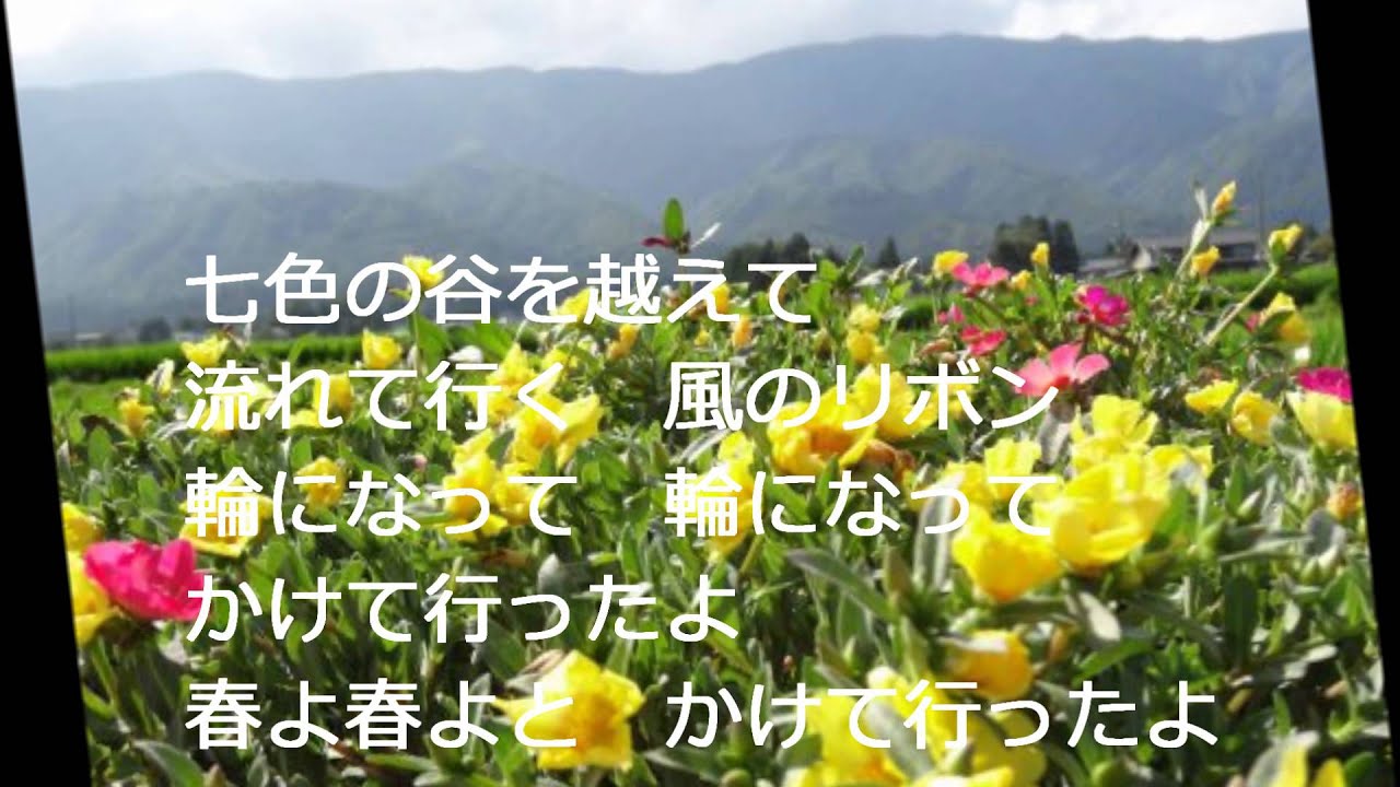 花の街