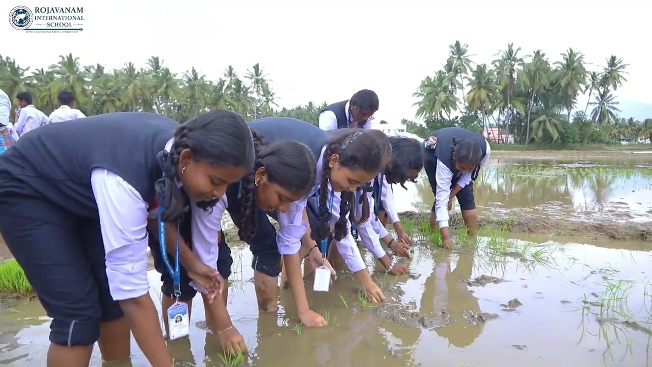 Field Trip - Paddy field | Rojavanam International School