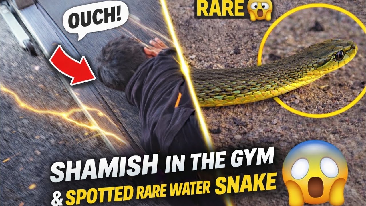 Gym Accident 😨 | Shamish Fell & We Spotted a Rare Water Snake 😱