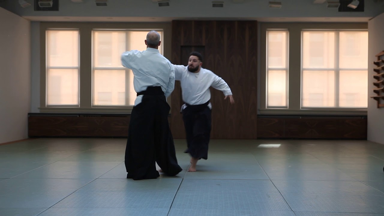 Gary Snyder Sensei - Various Aikido Techniques