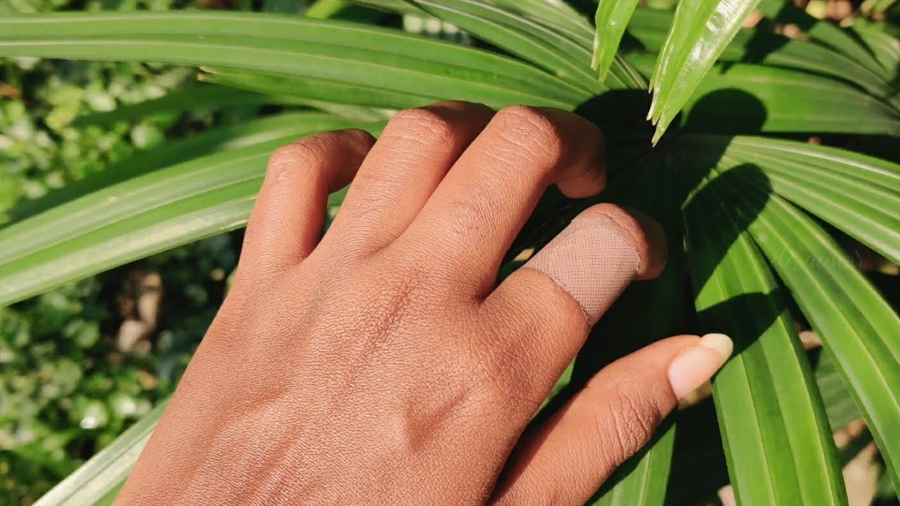 1 MINUTE ASMR || nature🍃 tapping scratching sound #asmr #natureasmr