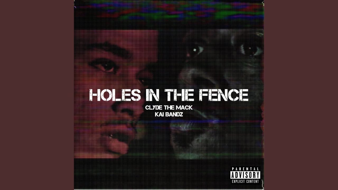 Holes in the Fence