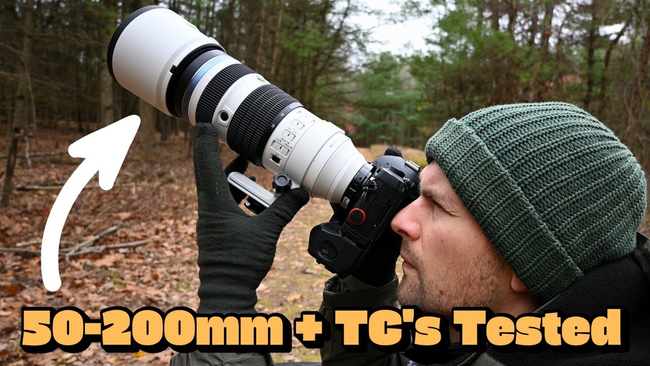Тест телеконвертера OM SYSTEM 50-200mm f/2.8 PRO: MC-14 против MC-20 + реальные результаты