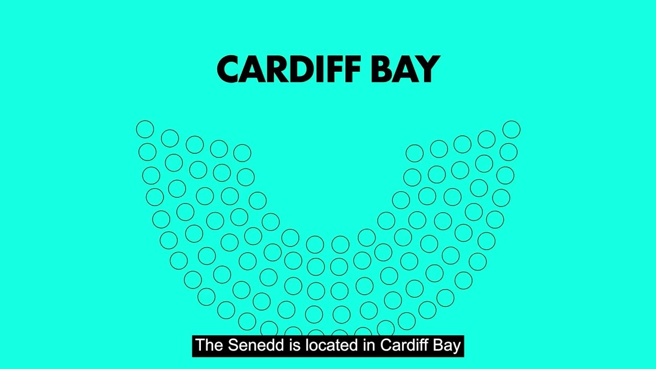 Welcome to Your Vote - The Senedd