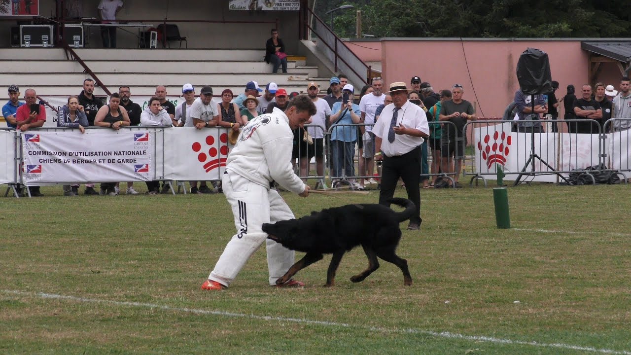 Championat de France en Ring 2023