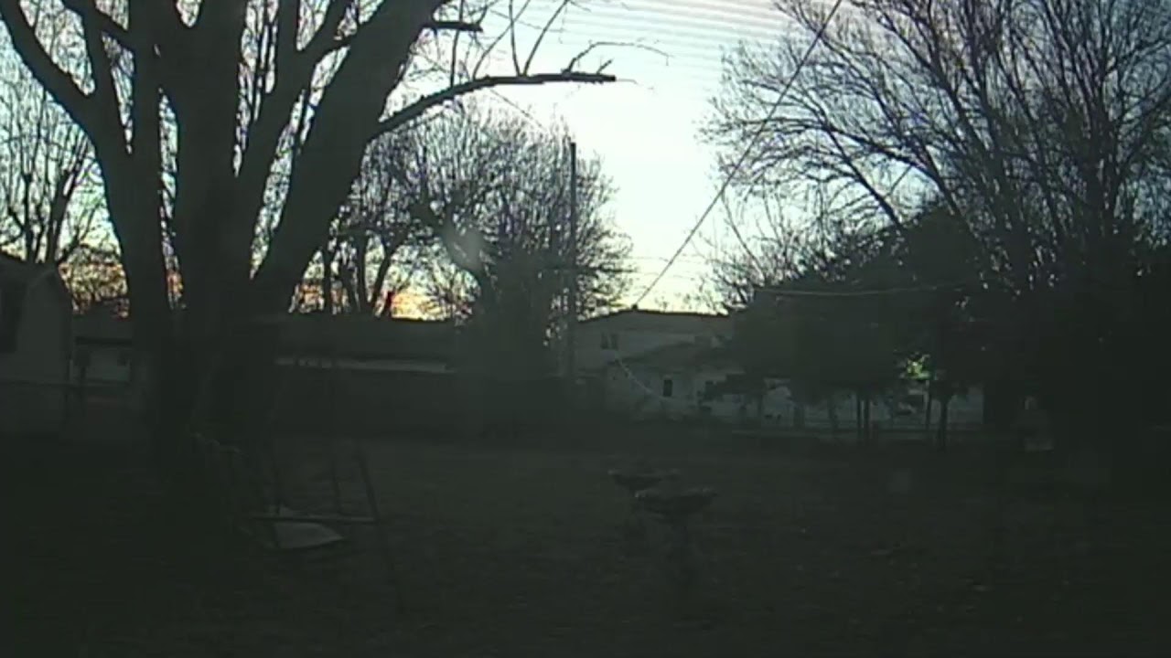 Grandma-Z Backyard CCTV Camera Stream (2/28/2026)