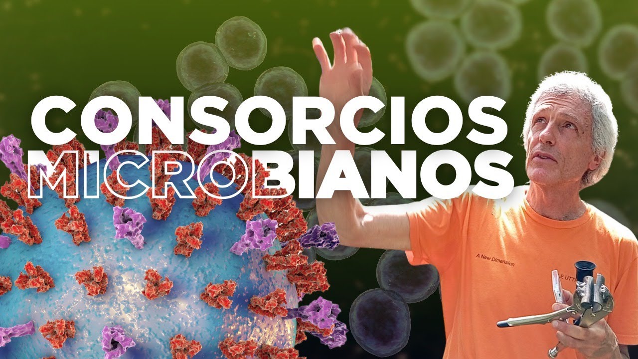 &iquest;Qu&eacute; son los consorcios microbianos y por qu&eacute; importan?