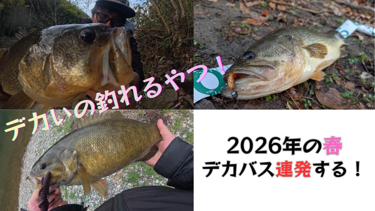 2026年春バス釣りの開幕！デカいの釣れるやつ！！！スモール＆ラージが釣れました！！！！【ザリバイブ】【沈み蟲】【マイクロワインド】【ハネエビ】【一誠】