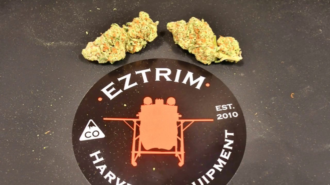 Ez Trim Bud Trimmer | Dry Trimmer