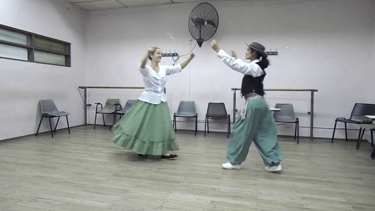 Gato Bonaerense Andrada Vuoto