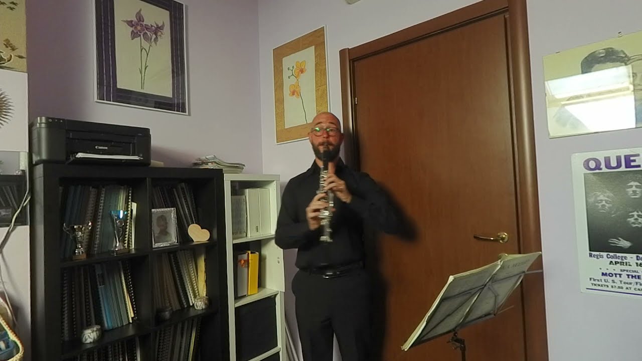 Mozart Clarinet Concerto K 622 1&2 mov.