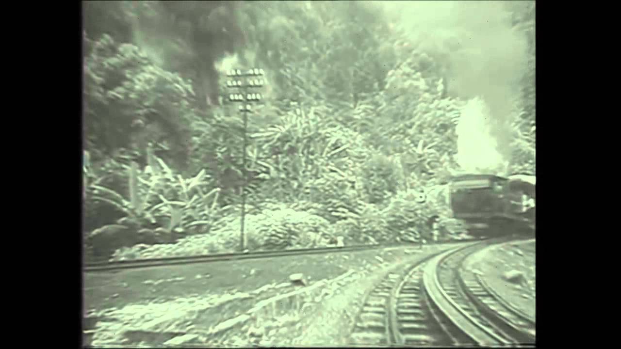 Caminho do Trem - Petrópolis - RJ