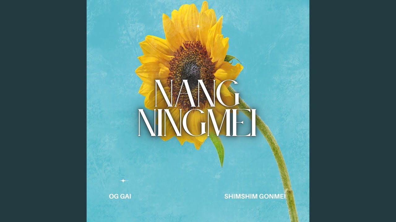 Nang Ningmei