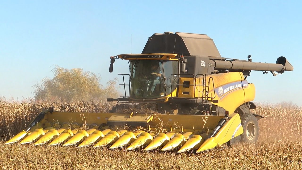 Corn Harvest 2020 | New Holland CR 7.90 Combine Harvesting Corn | Ontario, Canada