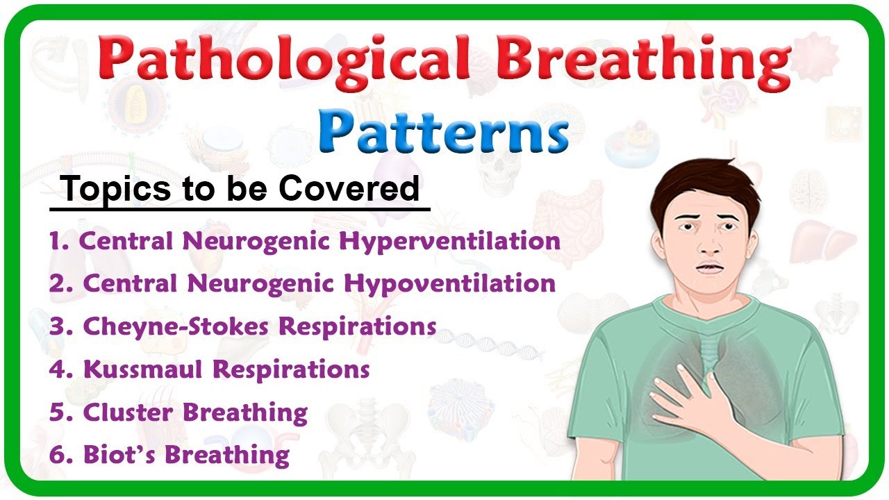 Pathological breathing / Abnormal breathing patterns : Kussmaul, Cheyne stokes, Biot's, Cluster