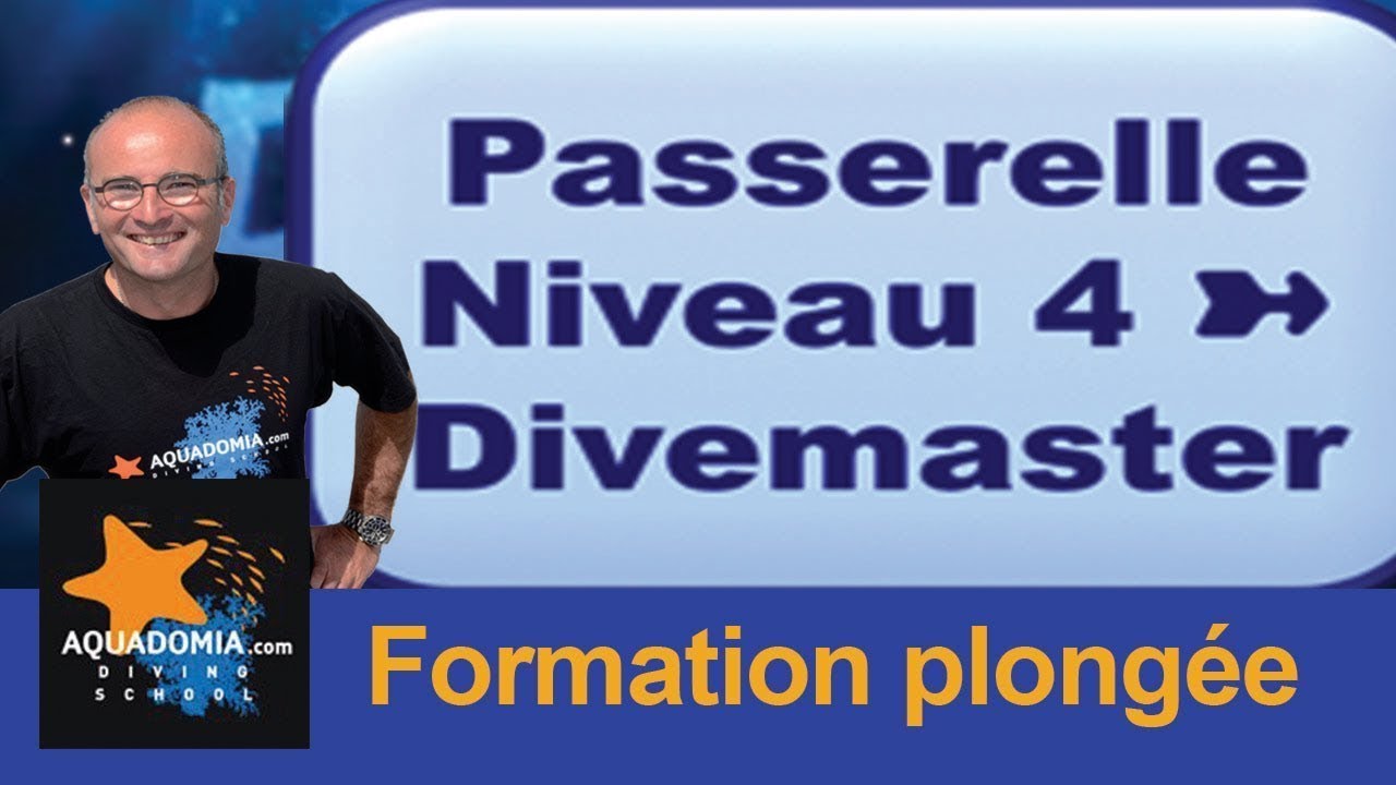 Passerelle Divemaster pour niveau 4 et formation Assistant Instructeur, AI SDI