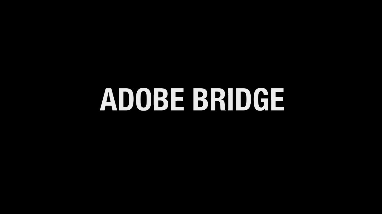 Workflow BRIDGE 01
