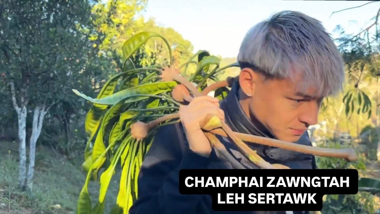 CHAMPHAI ZIN LEH CHHUANTHAR RÛN, BAKTAWNG TLAWH