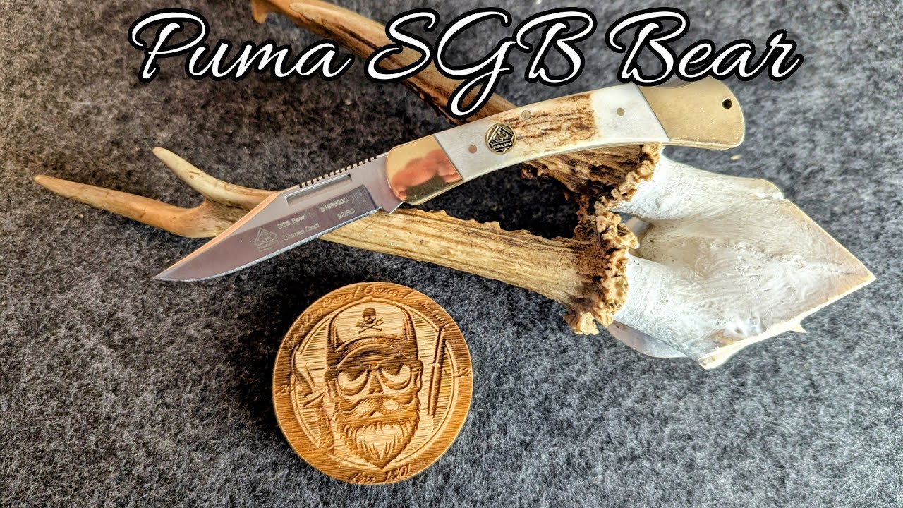 Not a Buck, it's a German Puma // Puma SGB Bear Folding Hunter Knife
