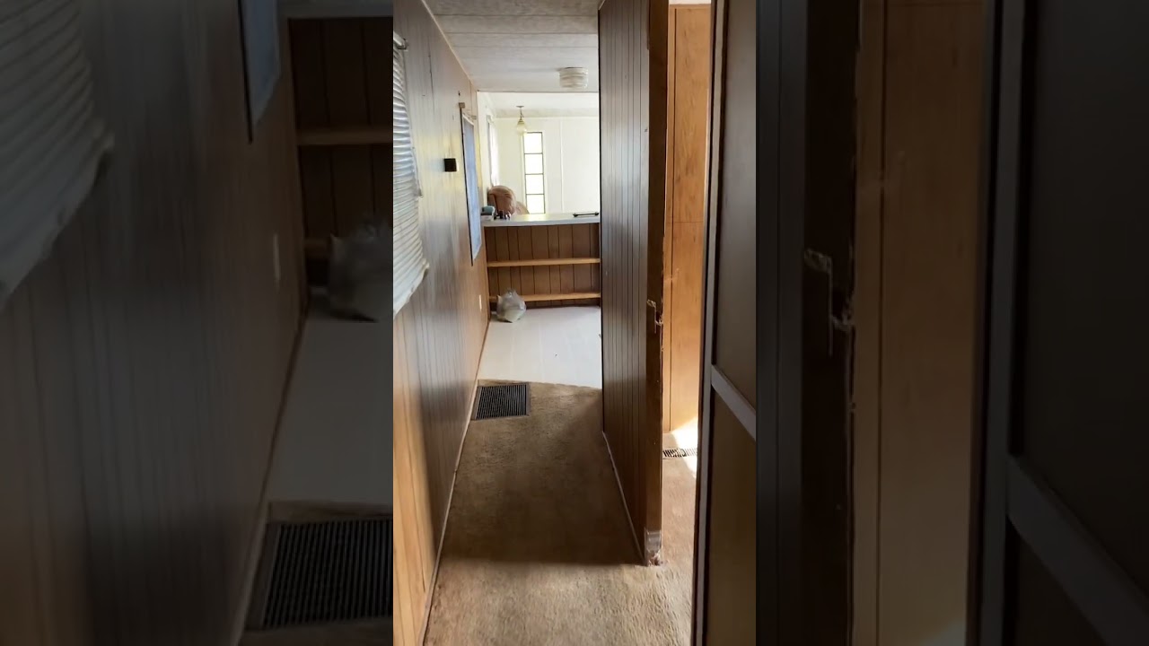 Transforming a 1969 mobile home with budget-friendly renovations #mobiehome