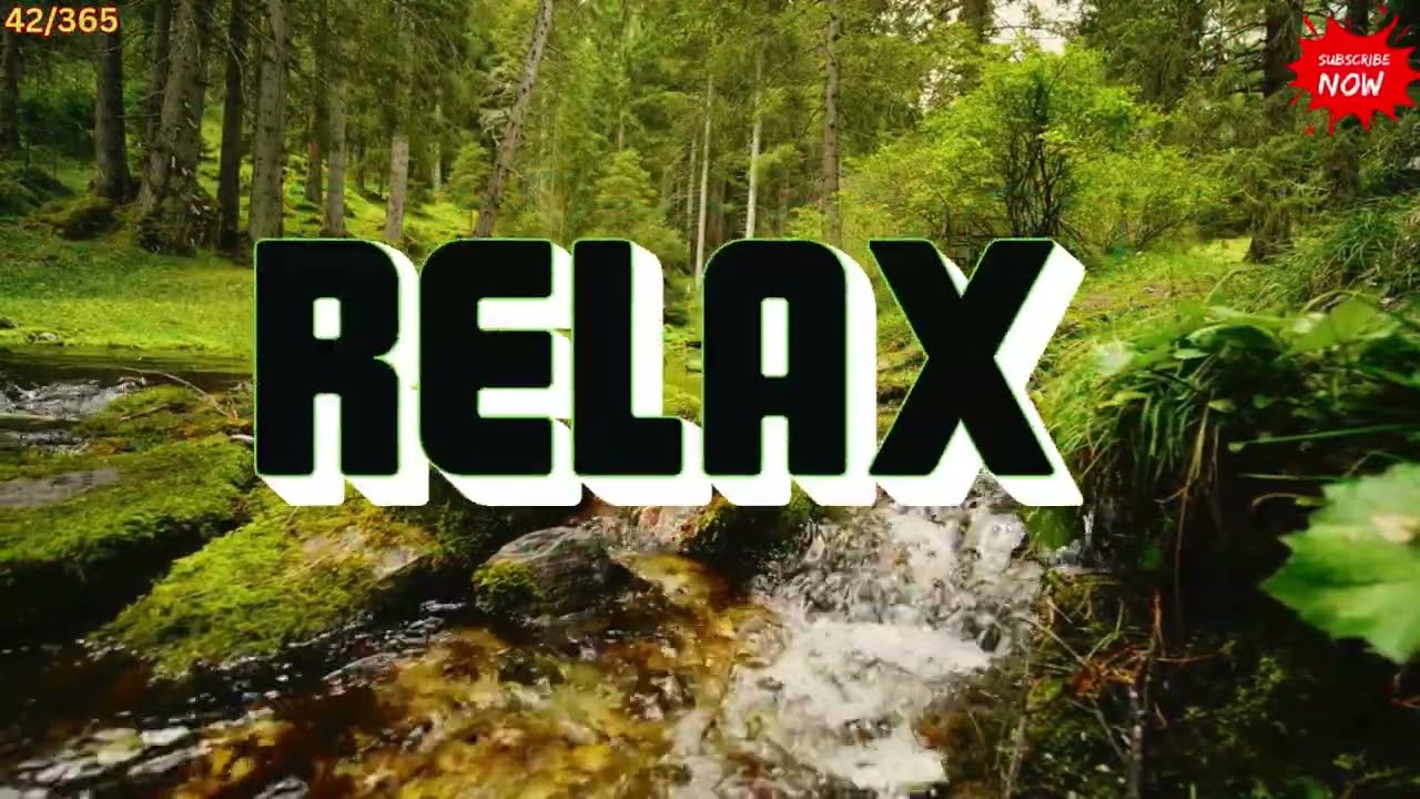 Day 42 ✨ Peaceful Budgies & Soothing Nature Music 🐦🌿 | Stress Relief Vibes
