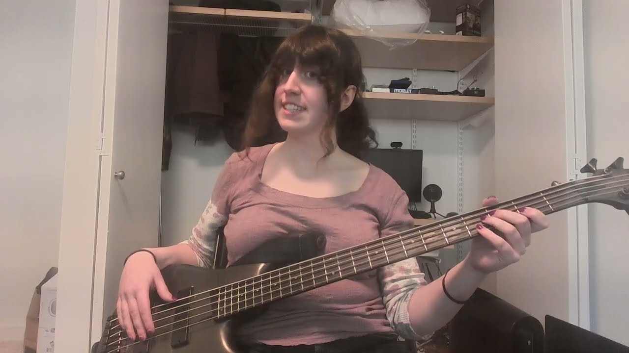 primus - tommy the cat (bass cover)