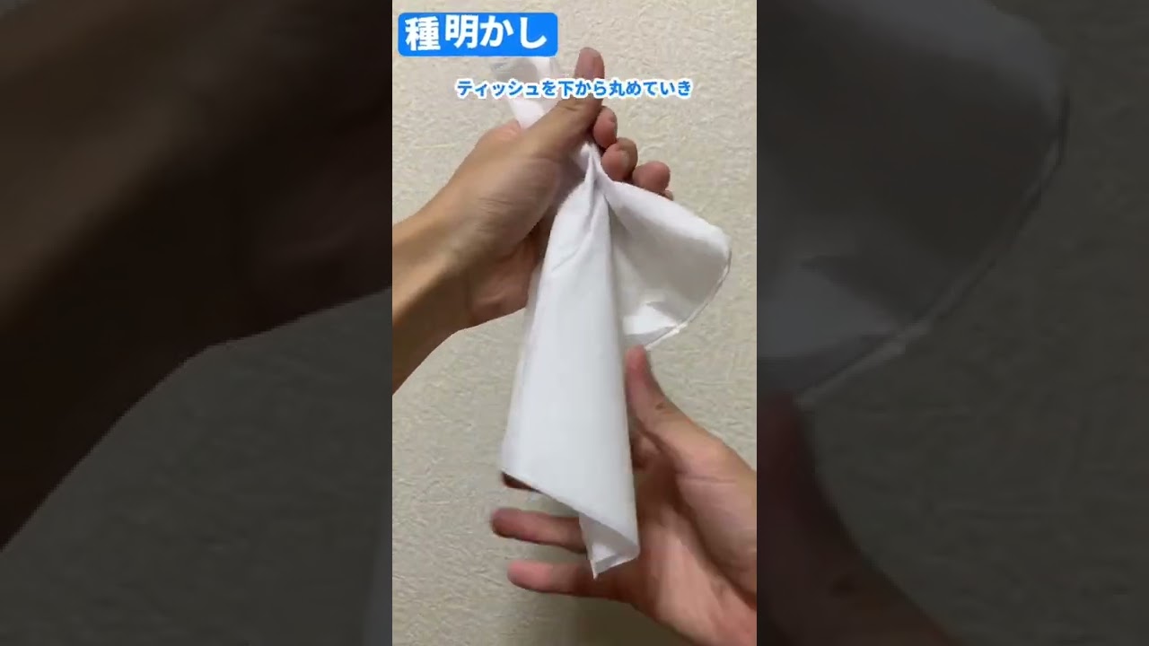 【種明かし】簡単！どこでも使えるティッシュマジック