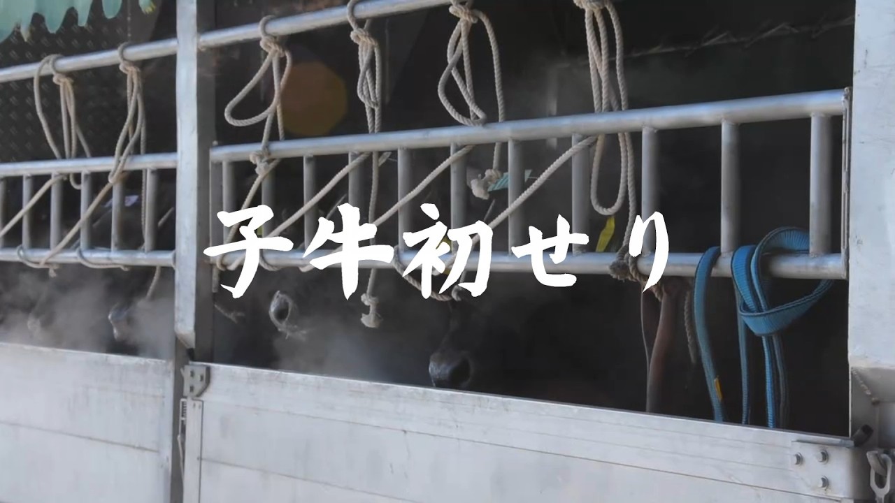 2026年宮城県子牛初せり