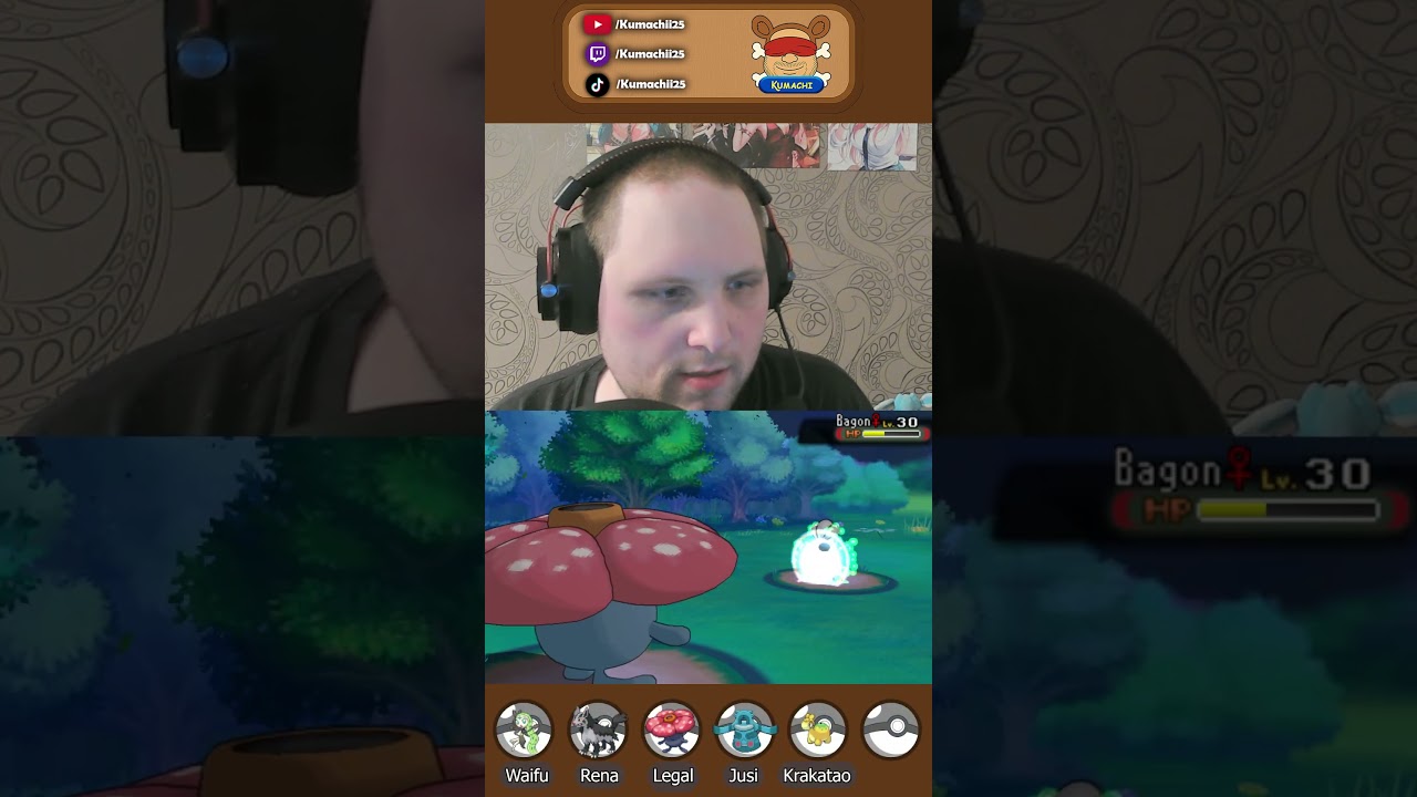 Da viele gefragt haben: Darum verwende ich kein Pok&eacute;link!