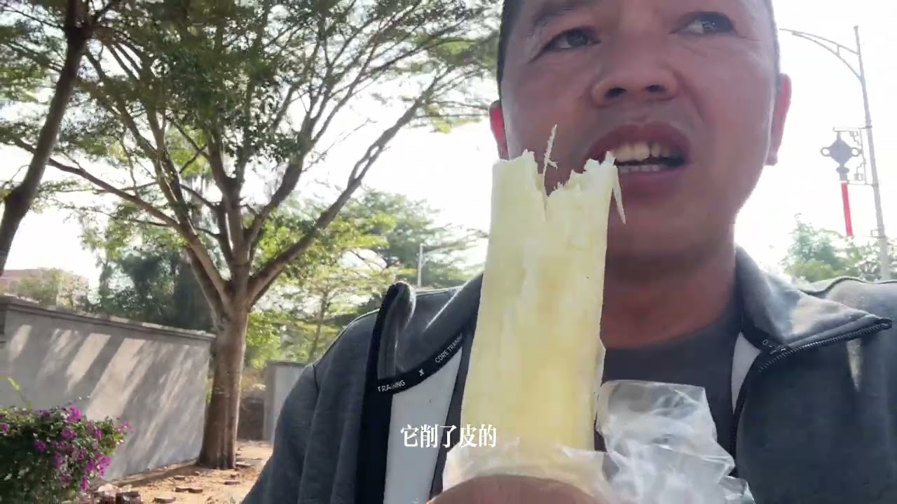 廣東狀元之鄉，特色小吃很美味。村民的房子一棟棟很豪華，這裏的人很有錢