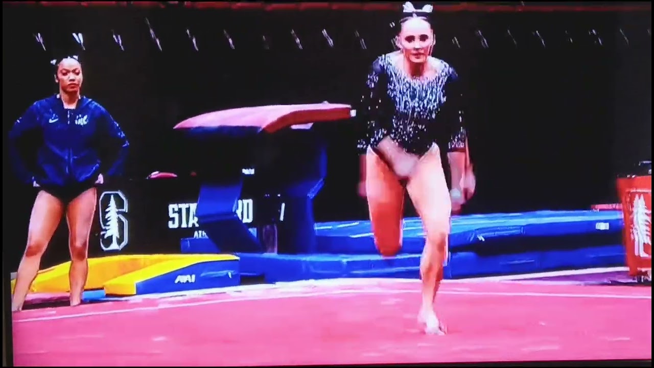 Women's gymnastics championship