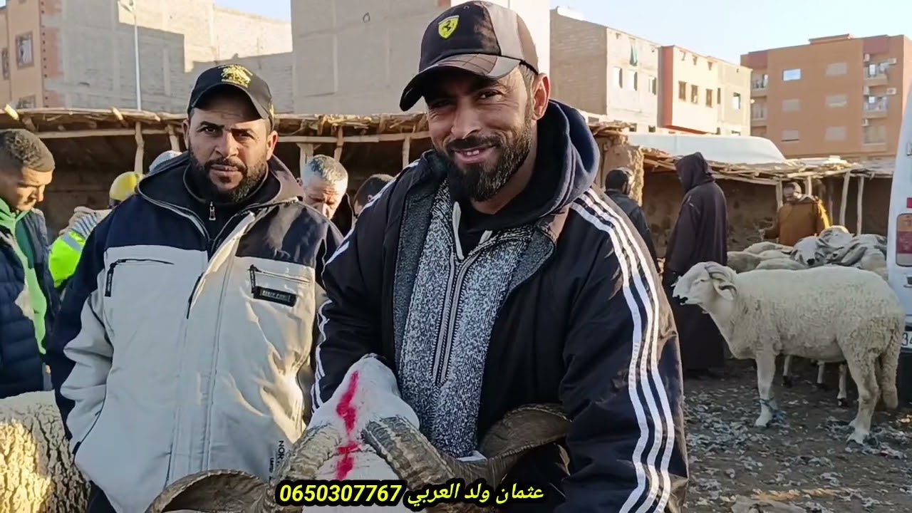 أجي تشوف معايا سوق الأثنين قلعة السراغنة بتاريخ 2025/1/20 مع أتمنة سوق والله يرحمنا برحمته الواسعه