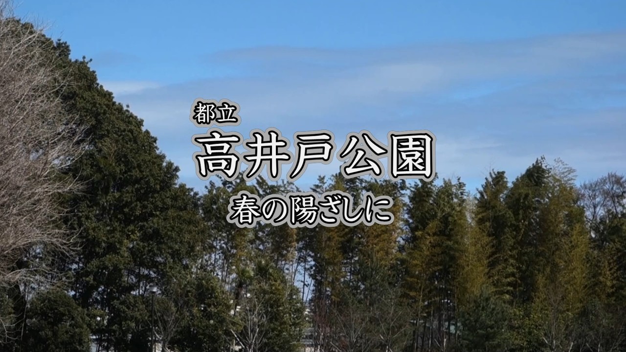 高井戸公園　北風と春の日差し