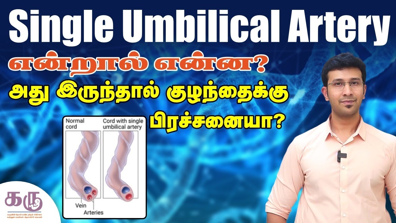 Single Umbilical Artery என்றால்என்ன? அது இருந்தால் குழந்தைக்கு பிரச்சனையா ? |