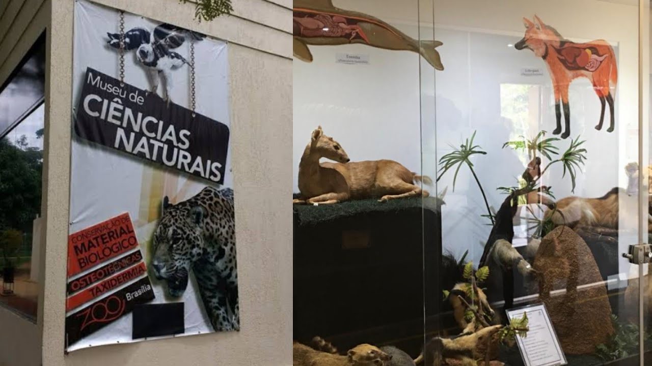 FOMOS NO MUSEU ( CIÊNCIAS NATURAIS - ZOO DE BRASÍLIA)!!