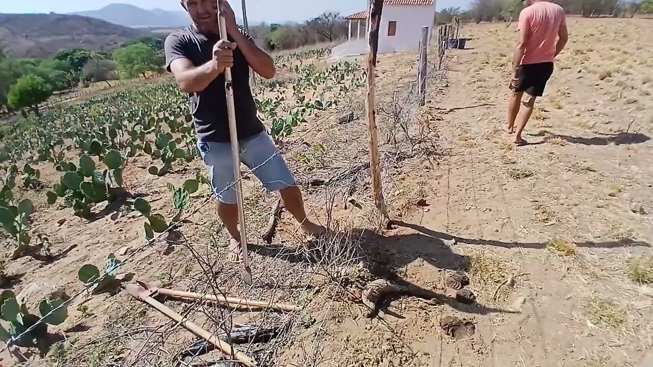 Día seguite fomos la no sitio santa Terezinha 